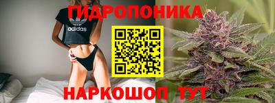 скорость Сланцы