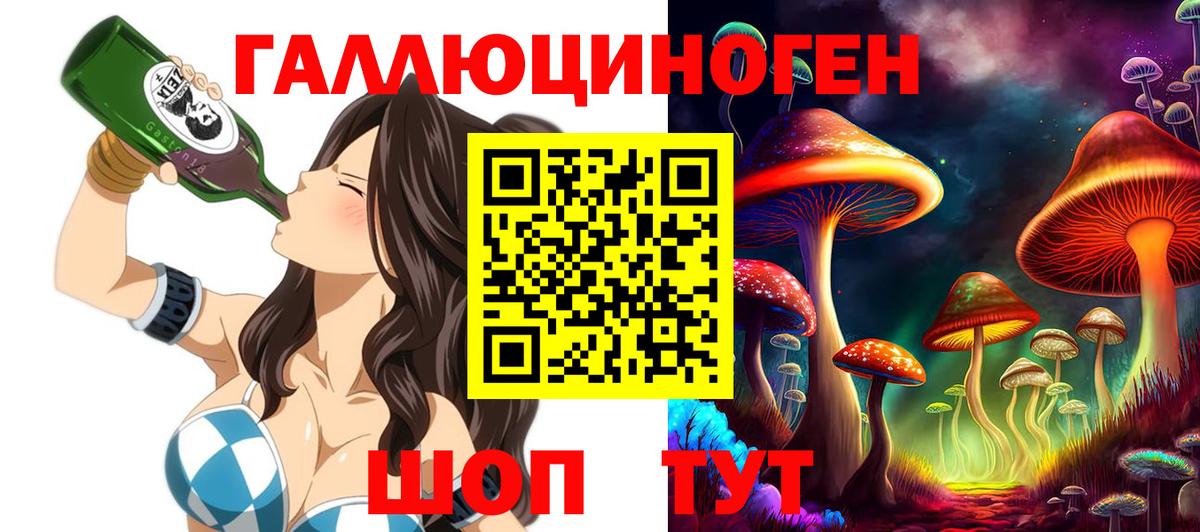 Псилоцибиновые грибы GOLDEN TEACHER Новоалександровск