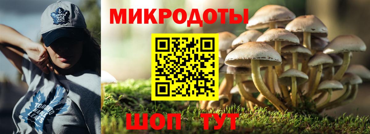 Галлюциногенные грибы прущие грибы  Вход с VPN  Новоалександровск 